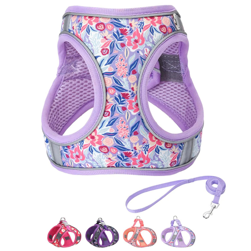 Purple Dog Harness and Leash Set – Small, Soft, and Reflective