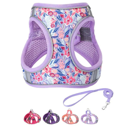 Purple Dog Harness Light Purple Small Adjustable Step In Soft Mesh Vest with 5ft Leash Set