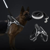 Reflective Dog Harness – Light Up LED Vest for Large Dogs - Petcharged