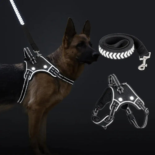 Reflective Dog Harness – Light Up LED Vest for Large Dogs - Petcharged