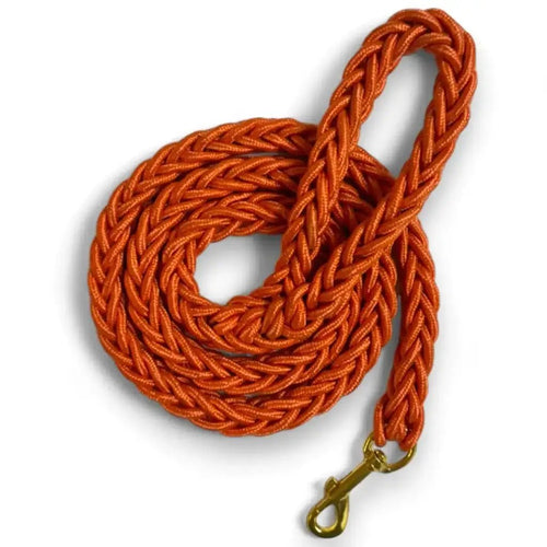 Rope Dog Leash – 4 ft Reliable braided lead with 360° gold swivel buckle (Hunter Orange)