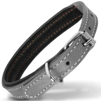 Small dog collar - Filbert Leather Dog Collar Genuine Leather Luxury Padded Strong Collar - Petcharged