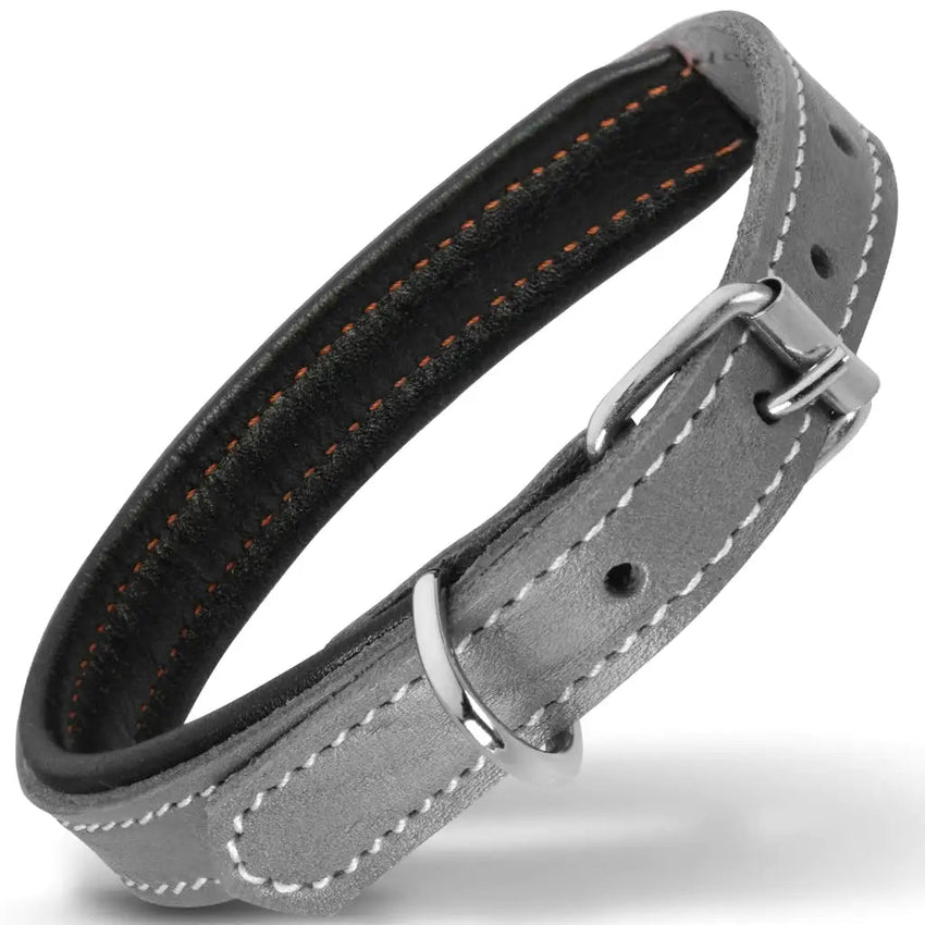 Small dog collar - Filbert Leather Dog Collar Genuine Leather Luxury Padded Strong Collar - Petcharged