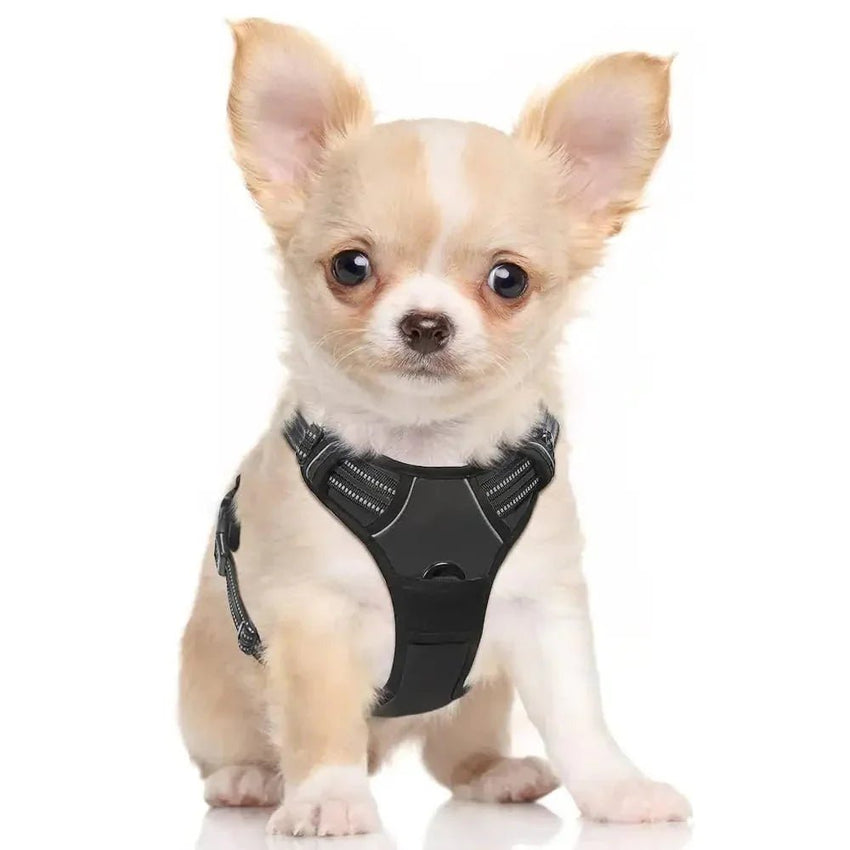 small dog harnesses - Dog Harness no - Strap pet Harness with 2 Leash Clips Adjustable Soft Padded Dog Vest Reflective Oxford Vest for Pets with Easy Control Handle for Dogs (Small) - Petcharged